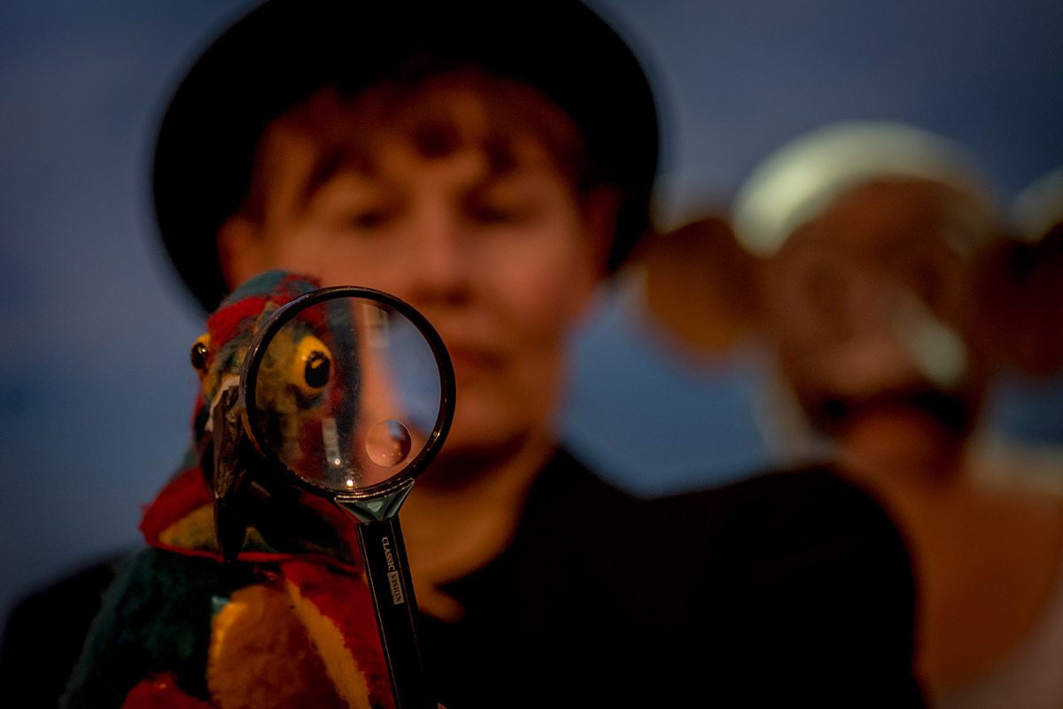 Käpälät pystyyn 2