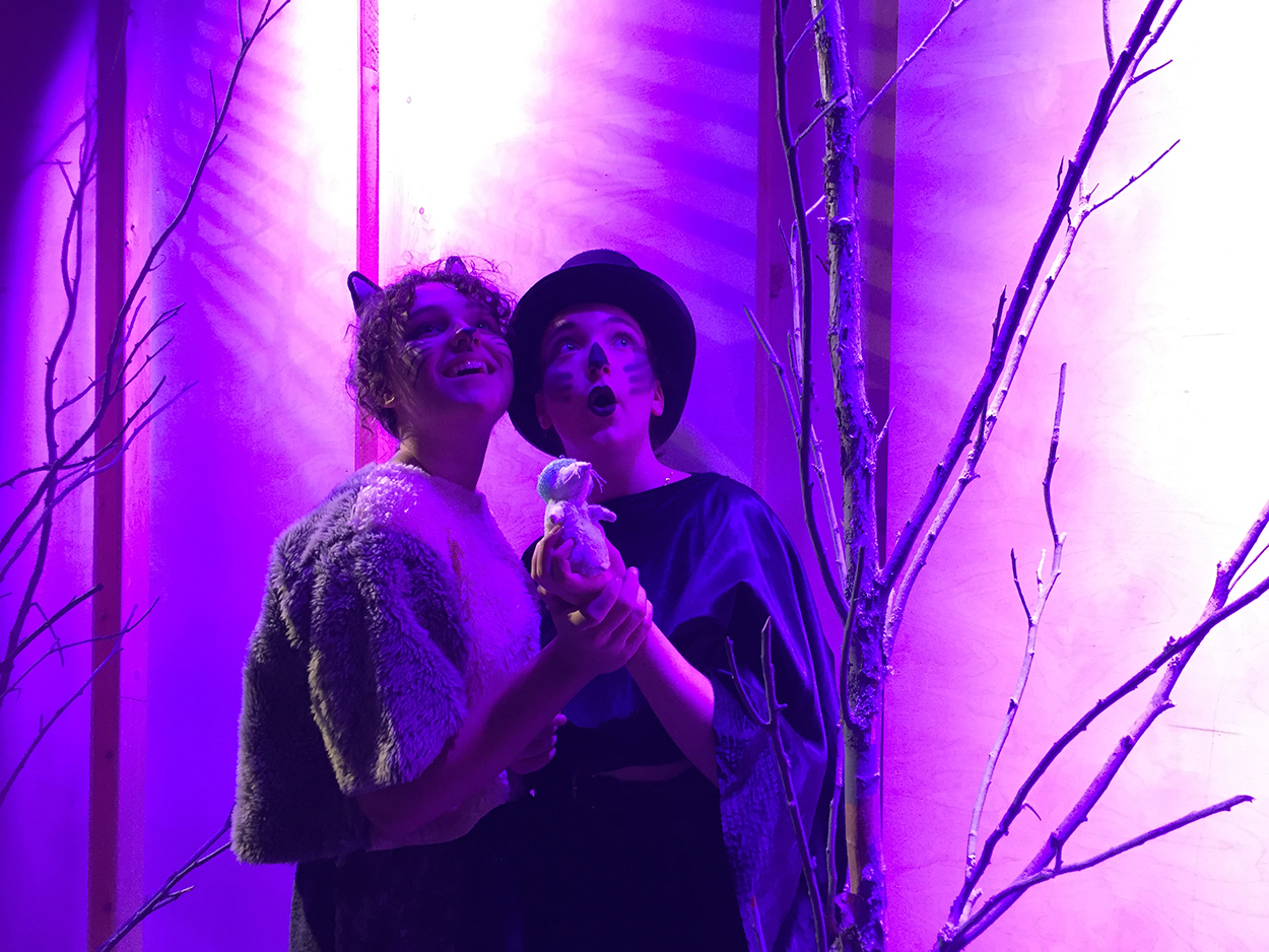 Tähtisadetta joululomalla