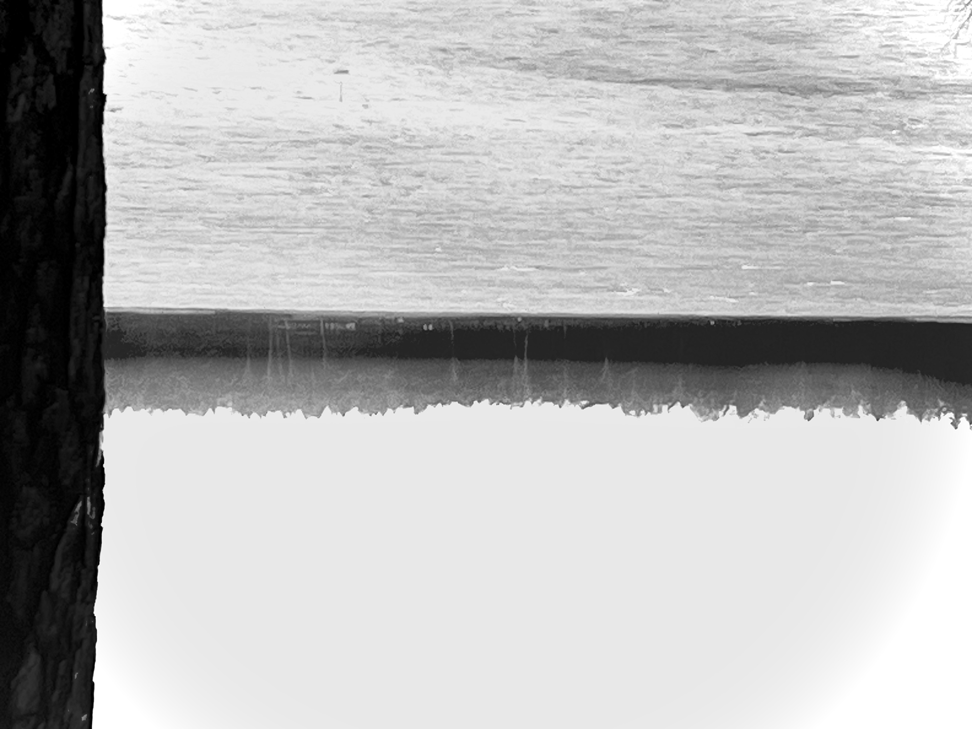 Tammikuun residenssitaiteilijat valittu