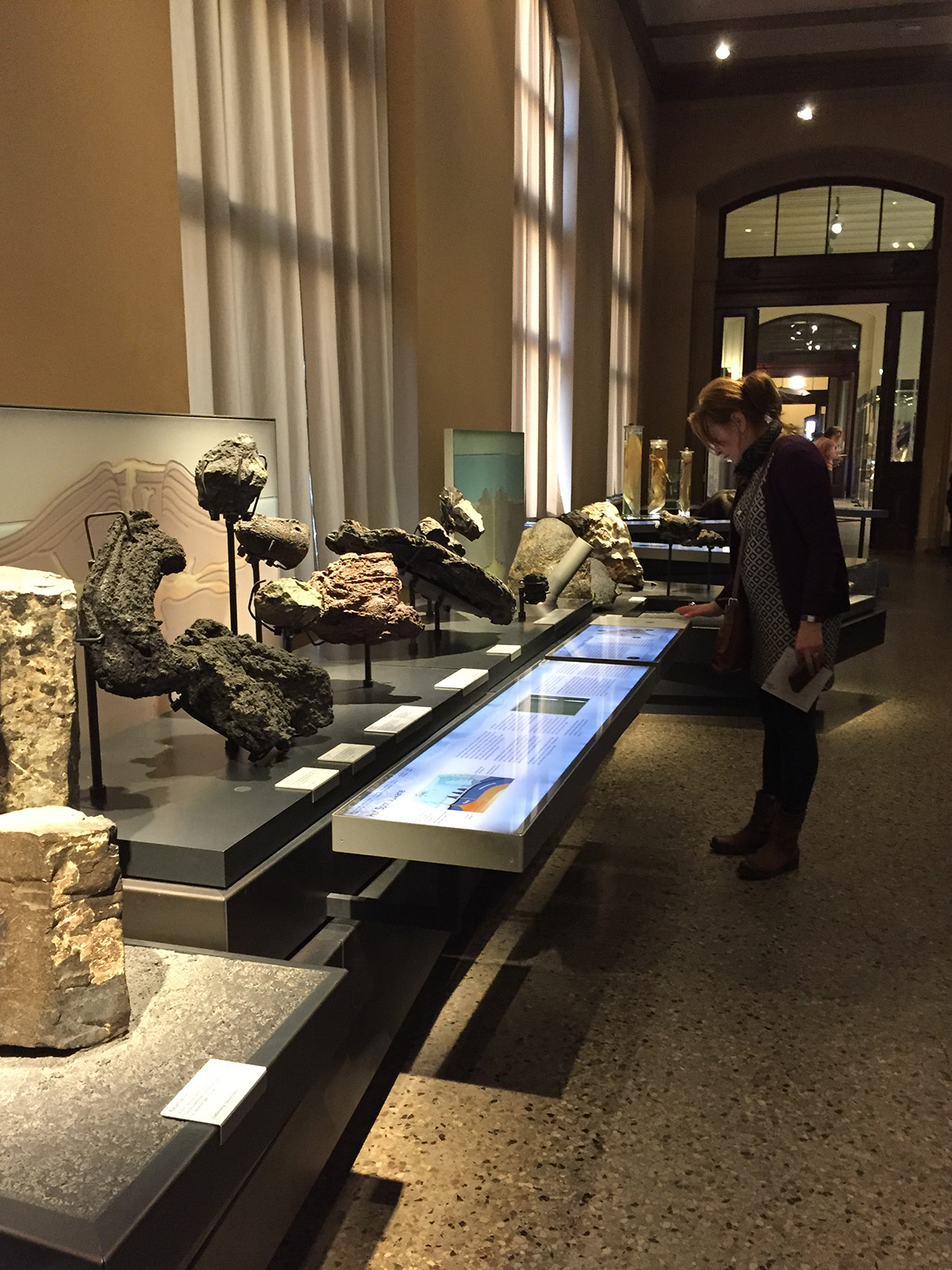 Berliinin luonnontieteellinen