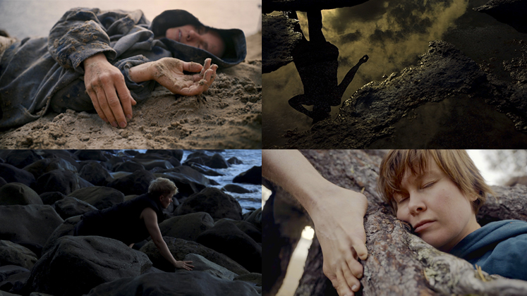 Tanssielokuvia Maneesissa