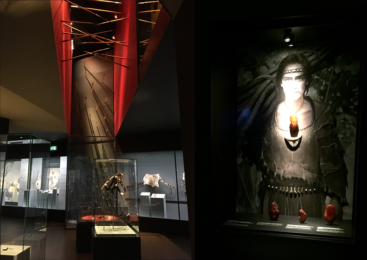 Moesgaardin vitriinit